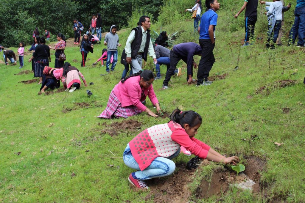 Conap busca recuperar 300 mil hectáreas de bosque Funcagua