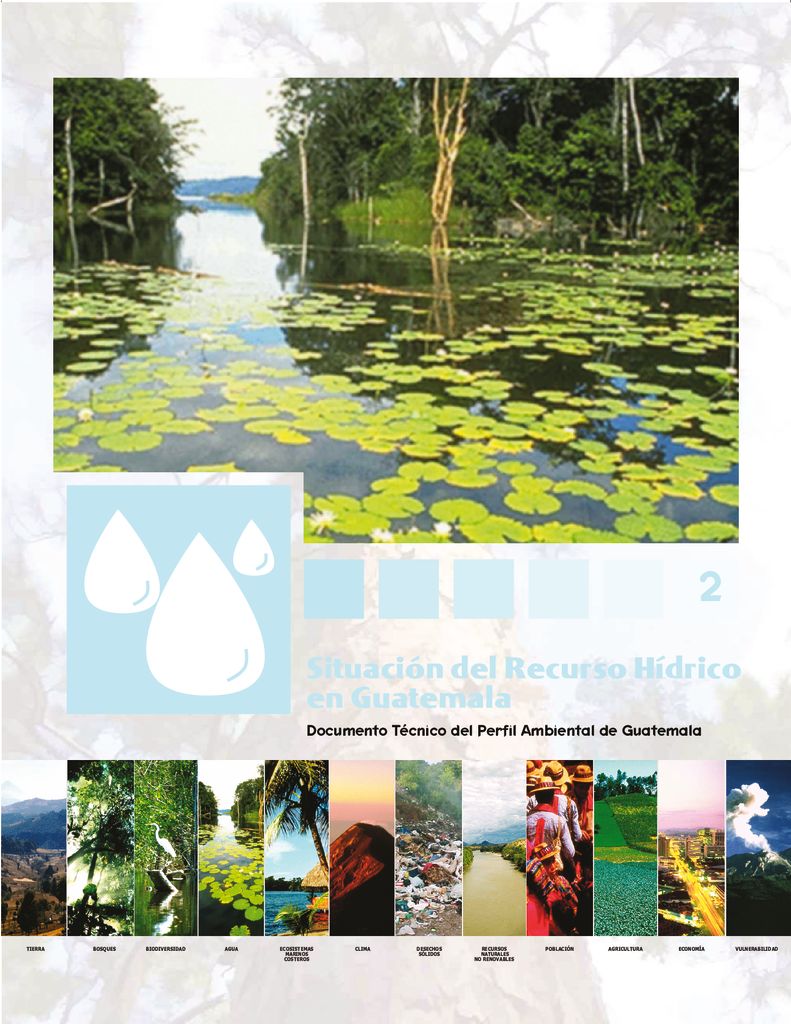 2005. Situación del recurso hídrico en Guatemala.  IARNA URL