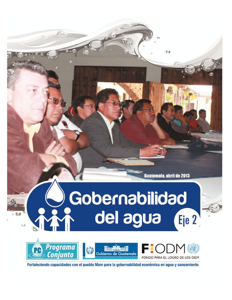 2013. Memoria Técnica sobre los procesos y resultados obtenidos en los productos de impacto del eje temático-Gobernabilidad del Agua-Guatemala