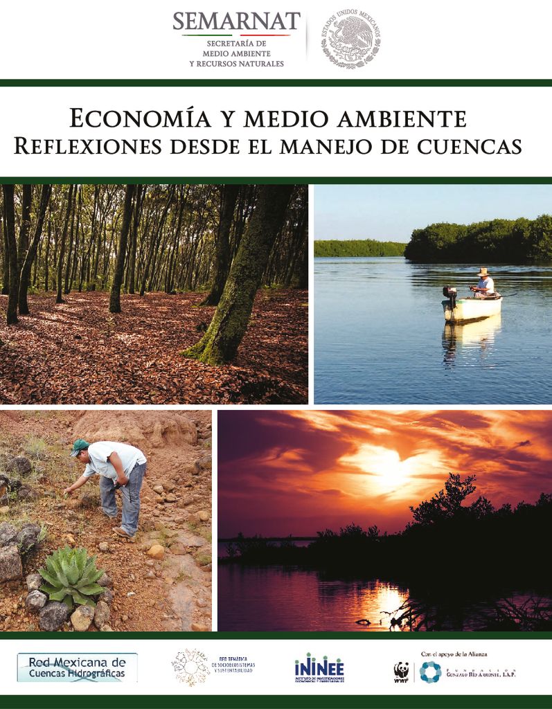 2017. Economía y medio ambiente, reflexiones desde el manejo de cuencas. SEMARNAT