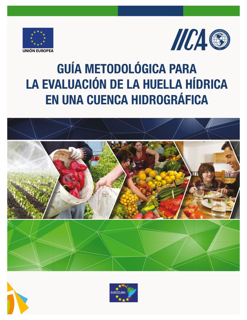 2017. Guía Metodológica para la evaluación de la Huella Hídrica en una Cuenca Hidrográfica. IICA