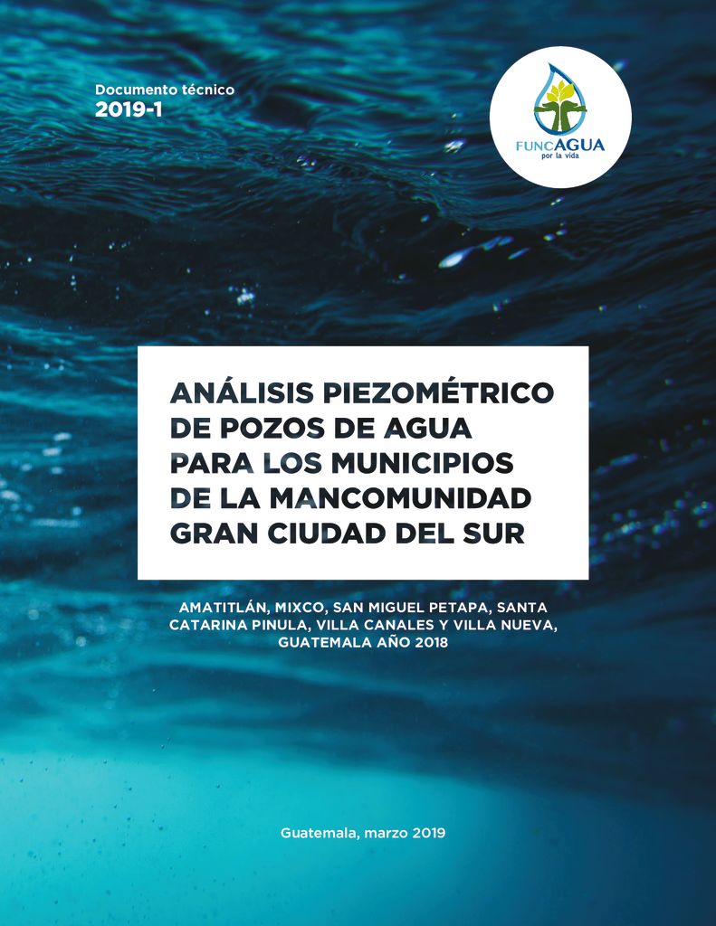 2019. Análisis piezométrico de pozos de agua para los Municipios de la Mancomunidad Gran Ciudad del Sur. FUNCAGUA