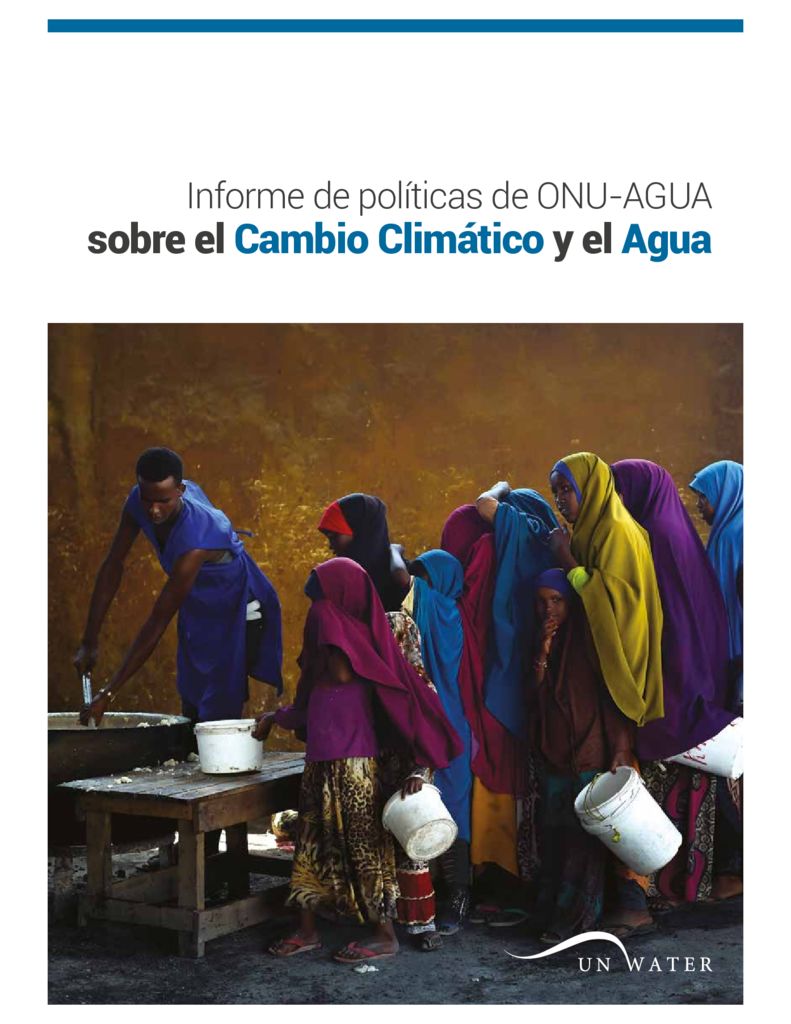 2019. Informe de políticas de ONU-AGUA sobre el Cambio Climático y el Agua. Naciones Unidas