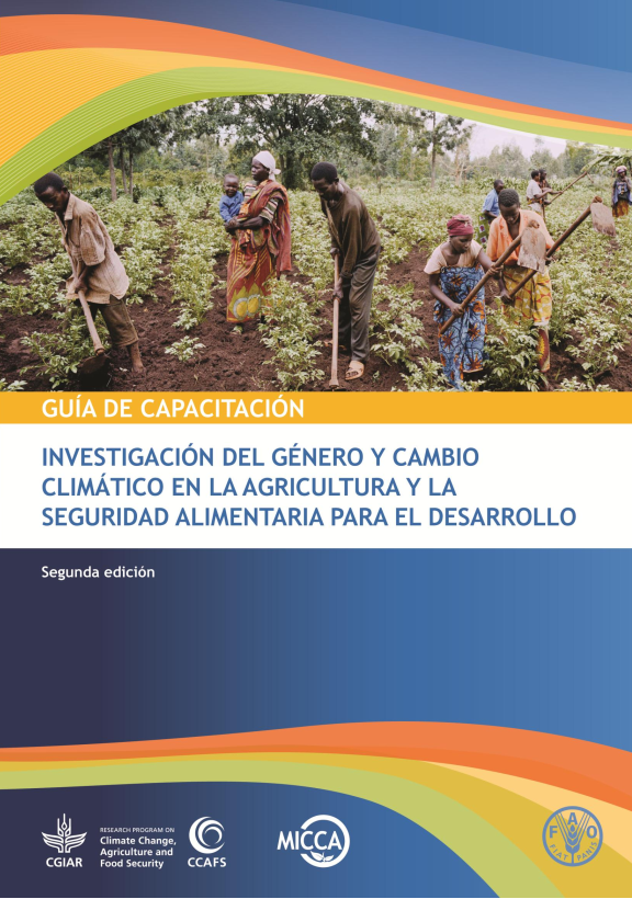 2013. Investigación del género y cambio climático en la agricultura y la seguridad alimentaria para el desarrollo. FAO