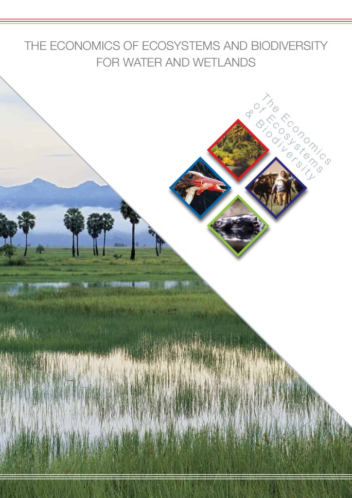 2013. The Economics of Ecosystems and Biodiversity. Institute for European Environmental Policy (IEEP) & Ramsar Secretariat