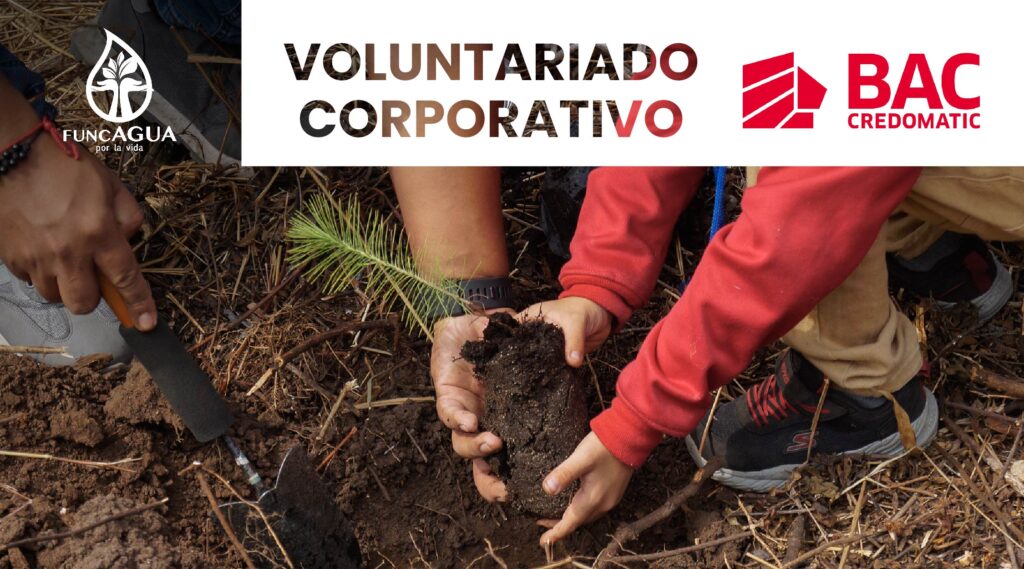 Voluntariado corporativo BAC para reforestaciones integrales de largo plazo